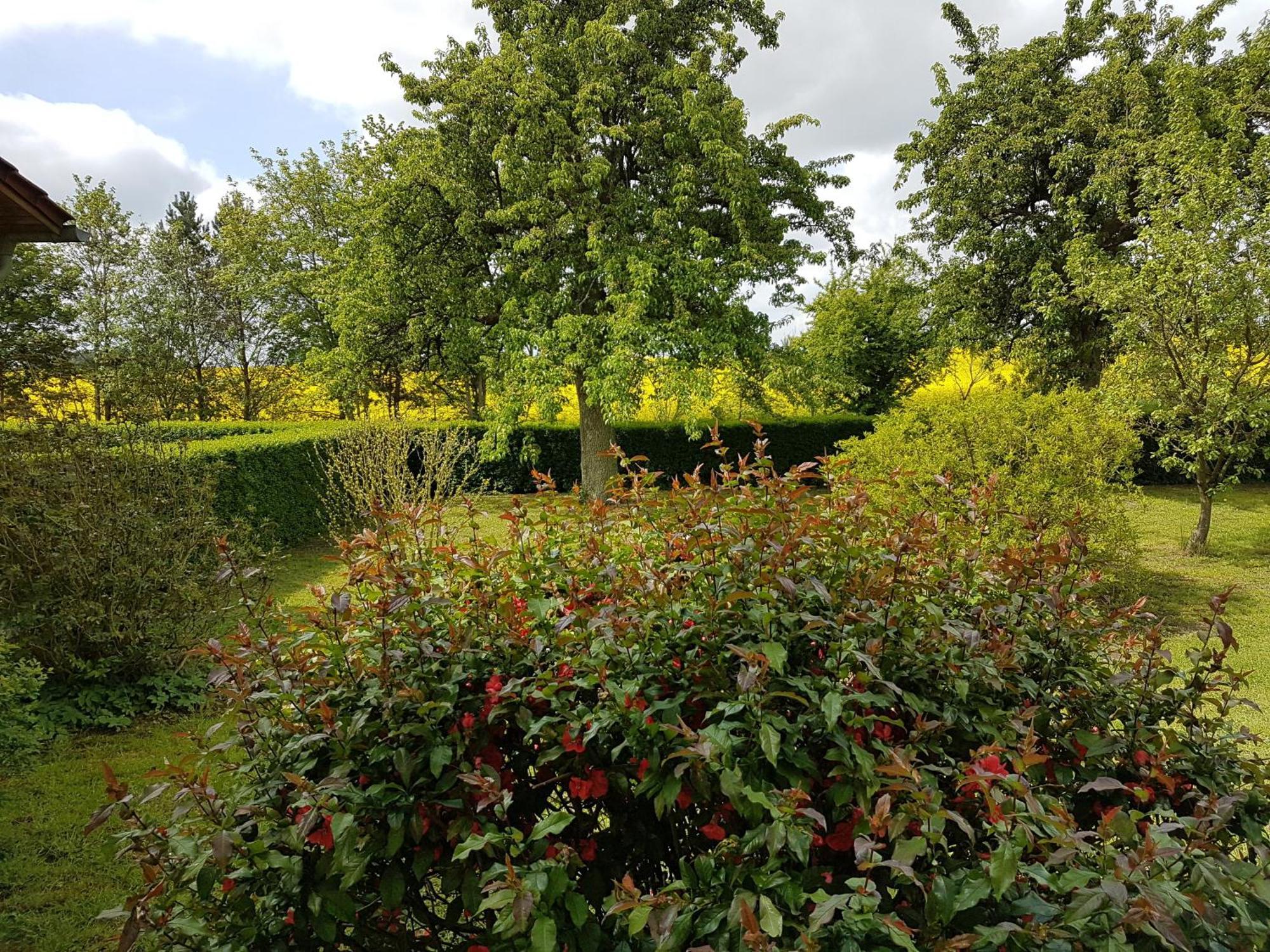 Ferienhaus Uckermark Casekow Esterno foto
