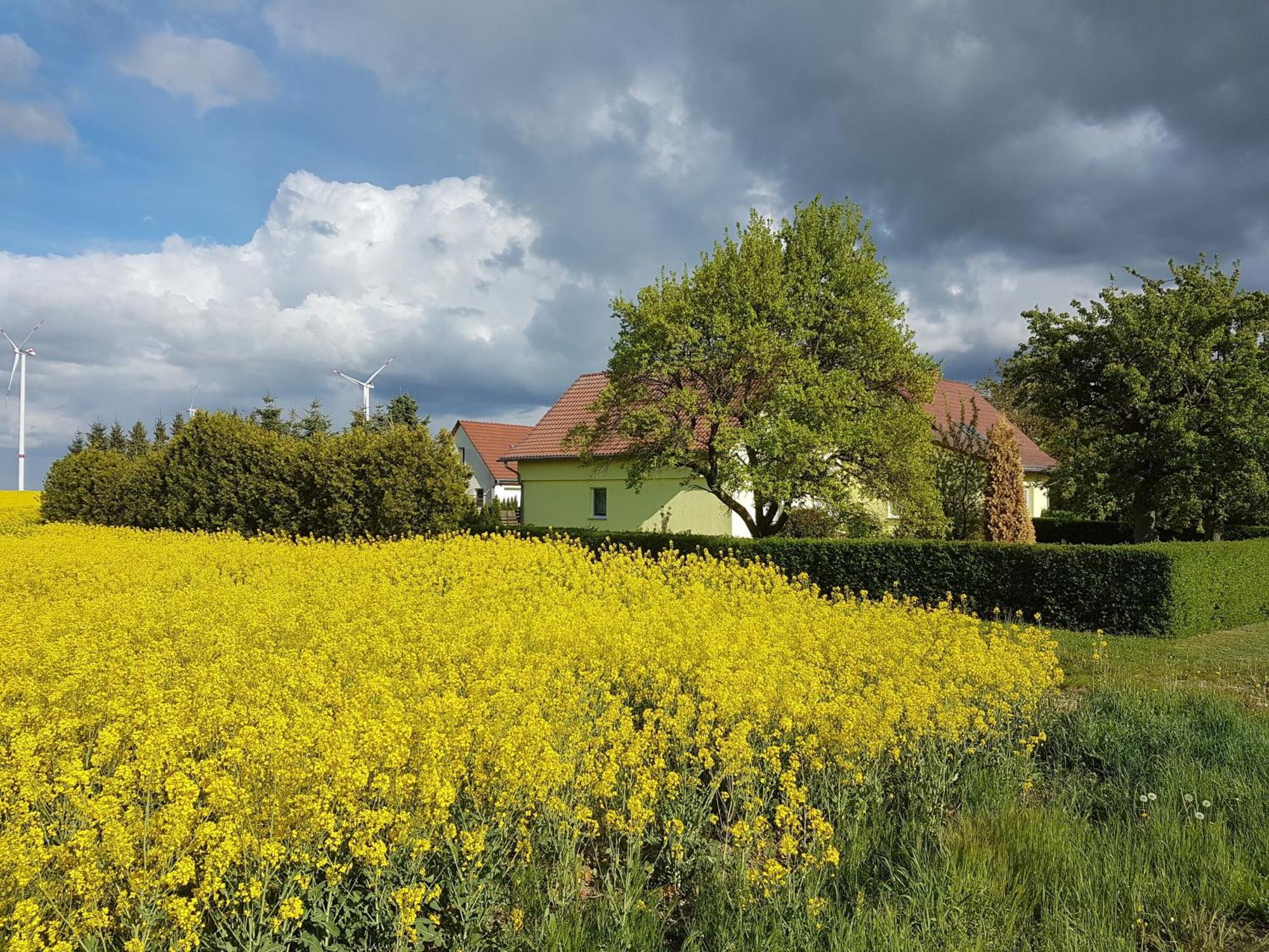 Ferienhaus Uckermark Casekow Esterno foto